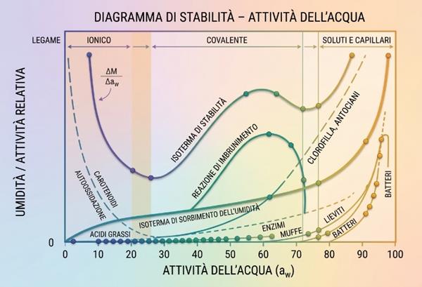 Attività dell'acqua e degradazione dei principi attivi